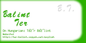 balint ter business card